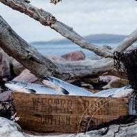 Ullapool Smokehouse Graze Platter the ideal gift for sharing 