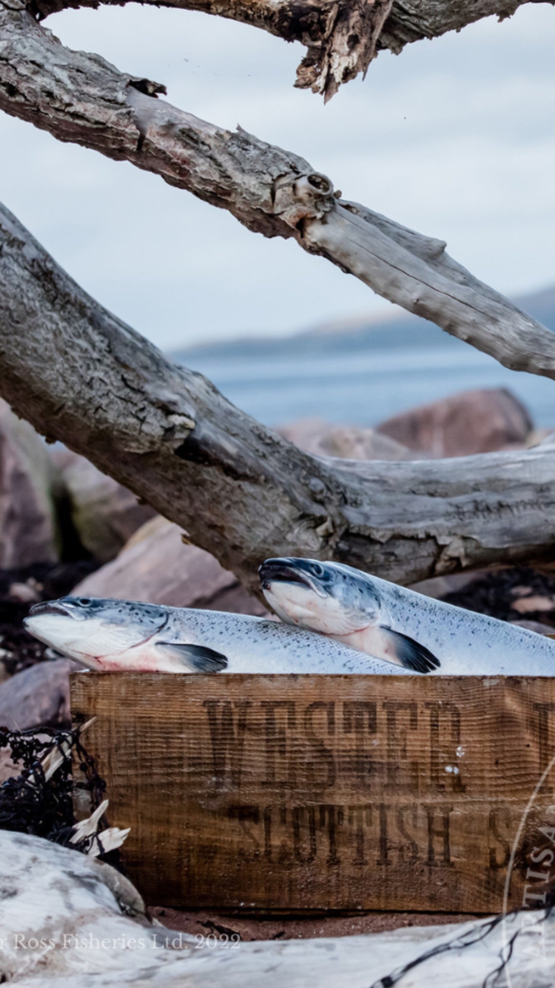 Ullapool Smokehouse Graze Platter the ideal gift for sharing 